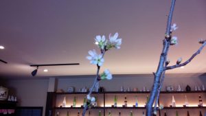 IMG_20170125_130659