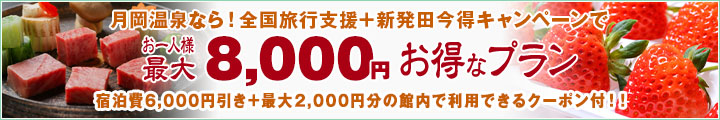 限定プラン