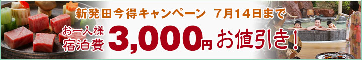 限定プラン