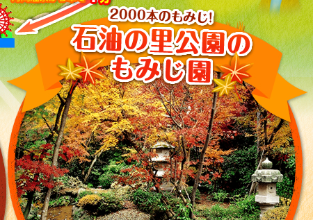 2000{݂̂!!Ζ̗݂̂