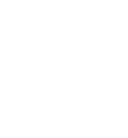 甘