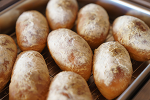 きなこあげぱん