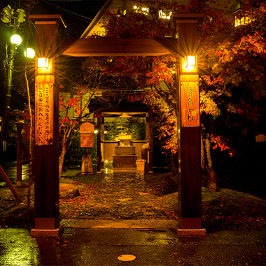 源泉の杜（もり）